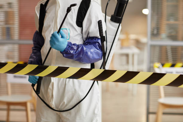 Professional Sewage Cleanup technician working in Hampstead, MD